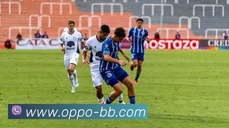 贝博体育平台生态图