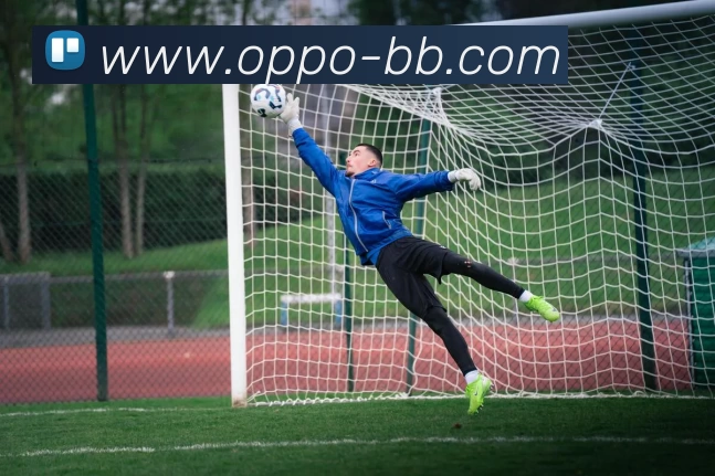 贝博体育全站App